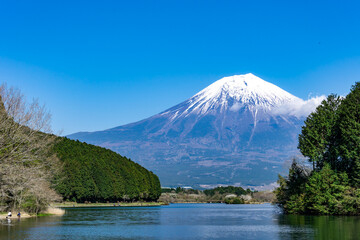 湖越しの富士山