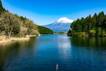 湖越しの富士山