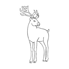 Vector drawing of a reindeer in cartoon style. Hand drawn illustration. Black and white drawing.