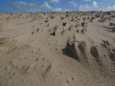 Abstrakte und bizarre Sandformen vom Wind auf einer Wanderd&uuml;ne