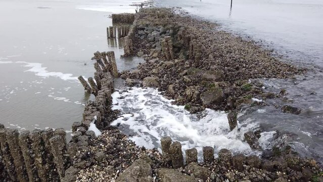 Wasserfall durch Gezeitenstr&ouml;mung im Wattenmeer mit wilden Austern- und Miesmuschelb&auml;nken, Nordsee, Schwenk