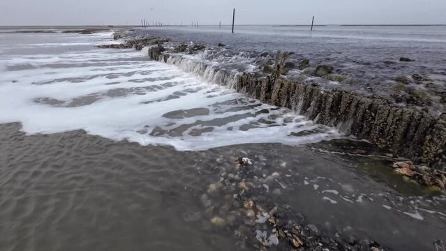 Wasserfall durch Gezeitenstr&ouml;mung im Wattenmeer mit wilden Austern- und Miesmuschelb&auml;nken, Priel, Ebbe, Nordsee