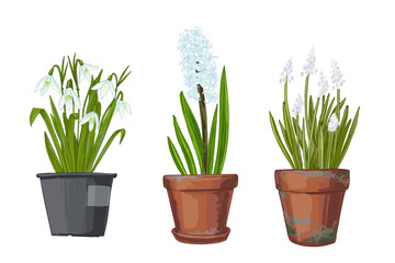 Garden flowers in a pot. Vector color sketch of summer and spring flowers on a white background.