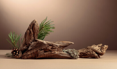Abstract north nature scene with a composition of lichen, pine branches, and dry snags.