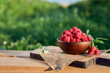 Fresh raspberry in ceramic bowl on orchard background. Harvest of ripe raspberries in summer...