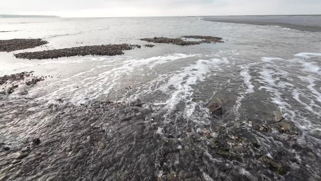 Wasserfall durch Gezeitenstr&ouml;mung im Wattenmeer mit wilden Austern- und Miesmuschelb&auml;nken, Priel, Ebbe, Nordsee