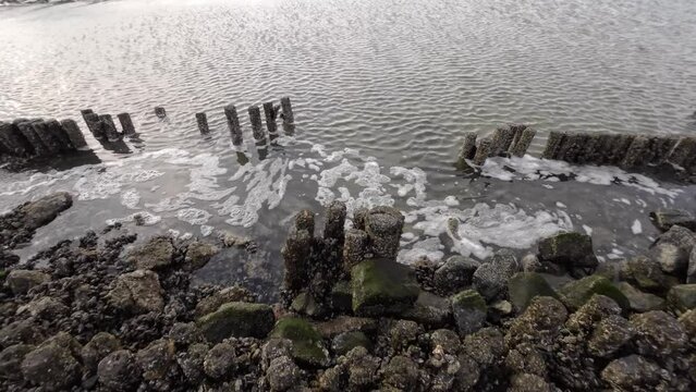 Wasserfall durch Gezeitenstr&ouml;mung im Wattenmeer mit wilden Austern- und Miesmuschelb&auml;nken, Nordsee, Schwenk