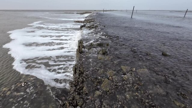 Wasserfall durch Gezeitenstr&ouml;mung im Wattenmeer mit wilden Austern- und Miesmuschelb&auml;nken, Nordsee, Schwenk