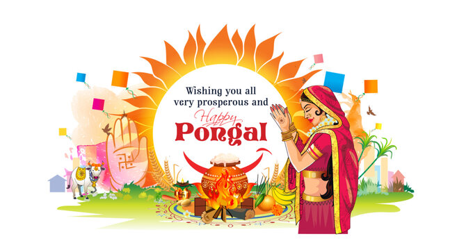 Happy Pongal Festival. Celebration background. Poster banner design. Vector illustration.