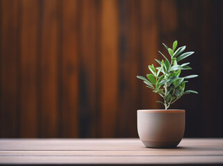 plant on the wooden background flat layout