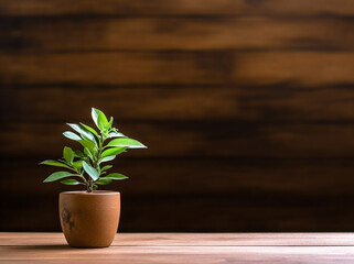 Fototapeta premium plant on the wooden background flat layout