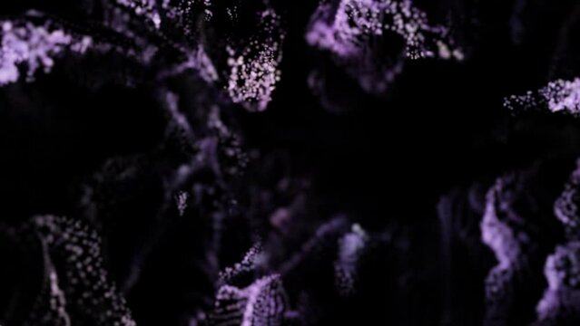 Nuvola di particelle animate con panoramica orizzontale della videocamera