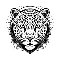 Leopard Vector