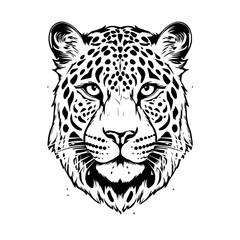 Leopard Vector