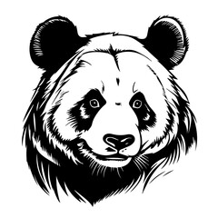 Panda Vector