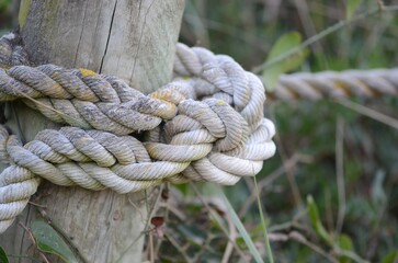 Detalles de la naturaleza. Mar y montaña.