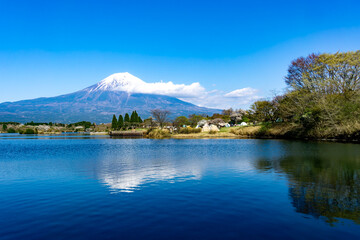 Naklejka na ściany i meble 湖に反射する富士山