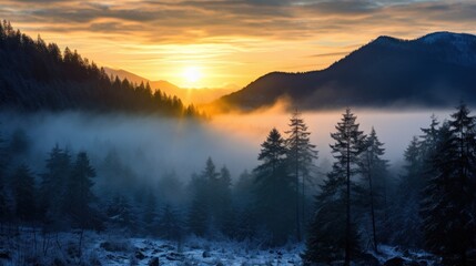  a forest filled with lots of trees covered in a layer of fog at sunset with the sun setting in the distance behind the trees and a mountain range in the distance.