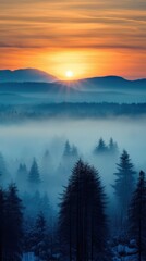  the sun setting over a foggy forest with trees in the foreground and a mountain range in the distance with trees in the foreground and fog in the foreground.