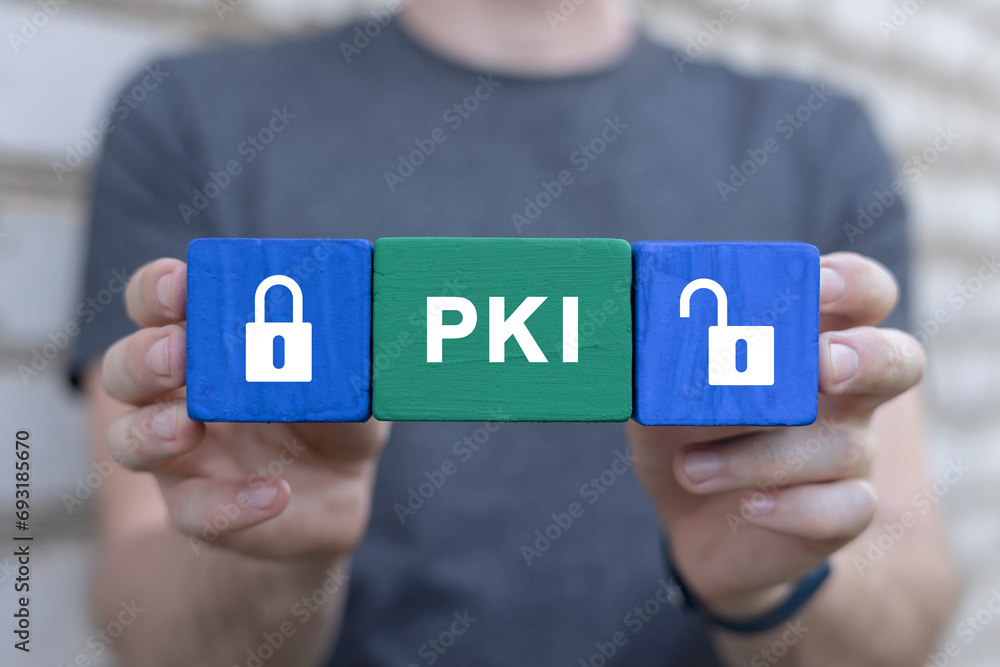 Poster man holding multi-colored blocks with lock and unlock padlocks icons sees abbreviation: pki. concept