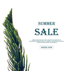 Get ready for the Summer Sale featuring Cactus Plant.