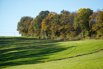 Beautiful autumn nature scenery in Breitenfurt near Vienna: colorful forest on a sunny day. Perfect place for horseback riding and hiking. Located near Moedling, Lower Austria