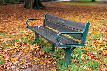 A wooden bench in a public park with autumnal vibes and leaves fallen off the trees