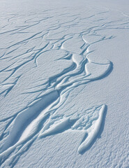 traces on snow
