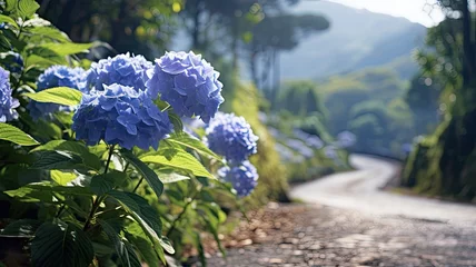 Cercles muraux Atlantic Ocean Road a road adorned with hydrangeas on the banks, surrounded by the lush Atlantic Forest, the vibrant colors of spring in a serene and visually pleasing landscape.