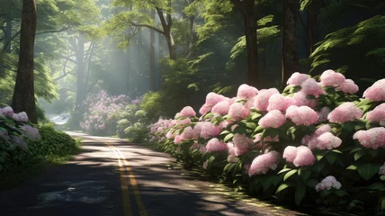 Photo sur Plexiglas Atlantic Ocean Road a road adorned with hydrangeas on the banks, surrounded by the lush Atlantic Forest, the vibrant colors of spring in a serene and visually pleasing landscape.