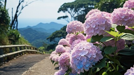 a road adorned with hydrangeas on the banks, surrounded by the lush Atlantic Forest, the vibrant colors of spring in a serene and visually pleasing landscape.