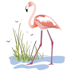 Beautiful Icon of a flamingo in a puddle with grasses, mosquitoes and fireflies