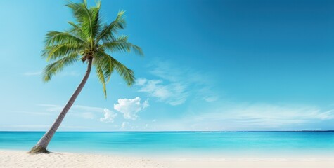 an image of a palm tree on a white sandy beach - Powered by Adobe