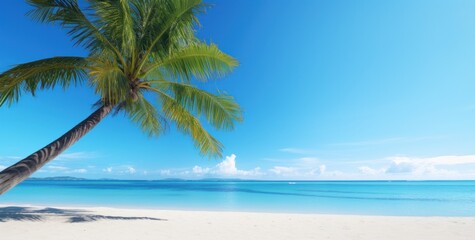 an image of a palm tree on a white sandy beach - obrazy, fototapety, plakaty