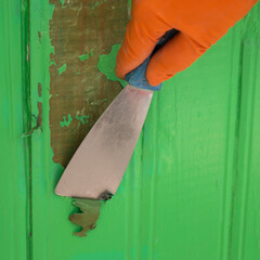 Removing green paint from wooden boards using an old narrow putty knife. Hand of a worker in orange...