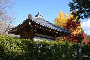 秋の金戒光明寺　西雲院の紫雲石堂　京都市左京区黒谷