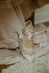Fototapeta na wymiar Wedding Shoes with Dress