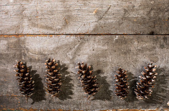 Pine cones on a weathered board