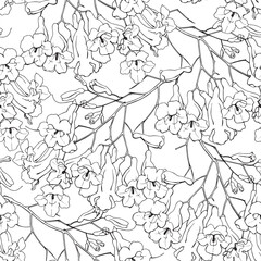 Vector seamless pattern linear branch flowers of Jacaranda tree black and white. Hand drawn elements. Delicate floral background for design packaging textile wallpaper fabric