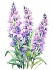Blooming Angelonia Field on White Background AI Generated