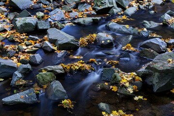 Autumn by the river in the early evening. Water flow between stones. Juhyn. Czechia