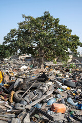 un arbre dans une zone urbaine totalement dévastée à Dakar au Sénégal en Afrique occidentale