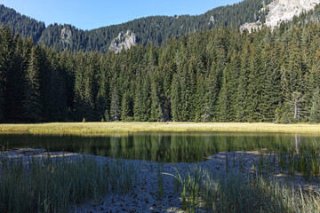 Landscape of Smolyan lakes at Rhodope Mountains, Bulgaria