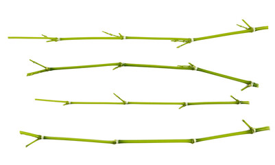 Set fresh green bamboo twigs, frame sticks isolated on white, top view