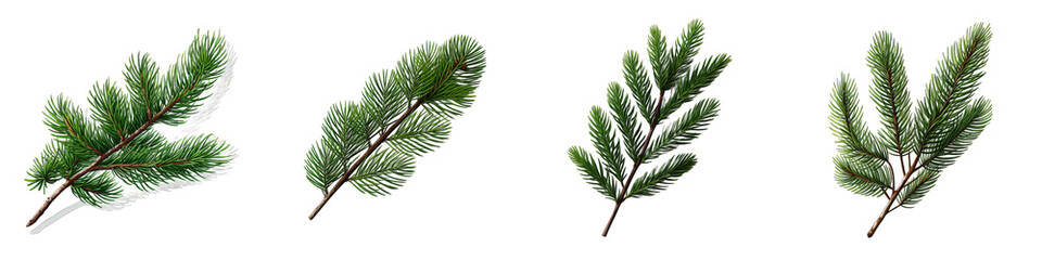 Green pine twig Hyperrealistic Highly Detailed Isolated On Transparent Background Png File - obrazy, fototapety, plakaty