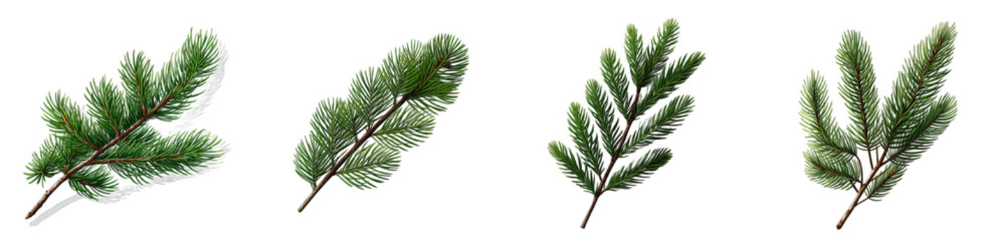 Green pine twig Hyperrealistic Highly Detailed Isolated On Transparent Background Png File