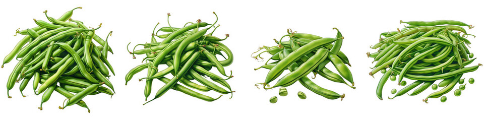 Green Beans Hyperrealistic Highly Detailed Isolated On Transparent Background Png File