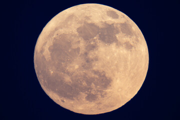 Super strawberry moon, reddish full moon on a summer night.