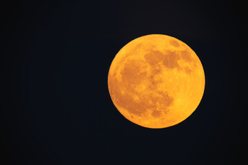Super strawberry moon, reddish full moon on a summer night. full moon with clouds ahead