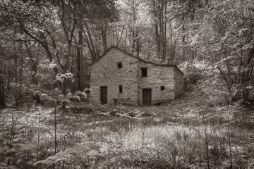 Zelfklevend Fotobehang Sepia forest hues with filtered sunlight and old stone cottage © Brian Scantlebury
